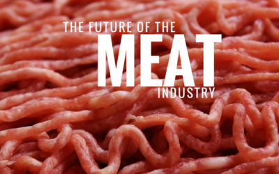 The Future of the Meat Industry