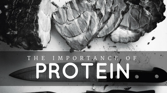 The Importance of Protein